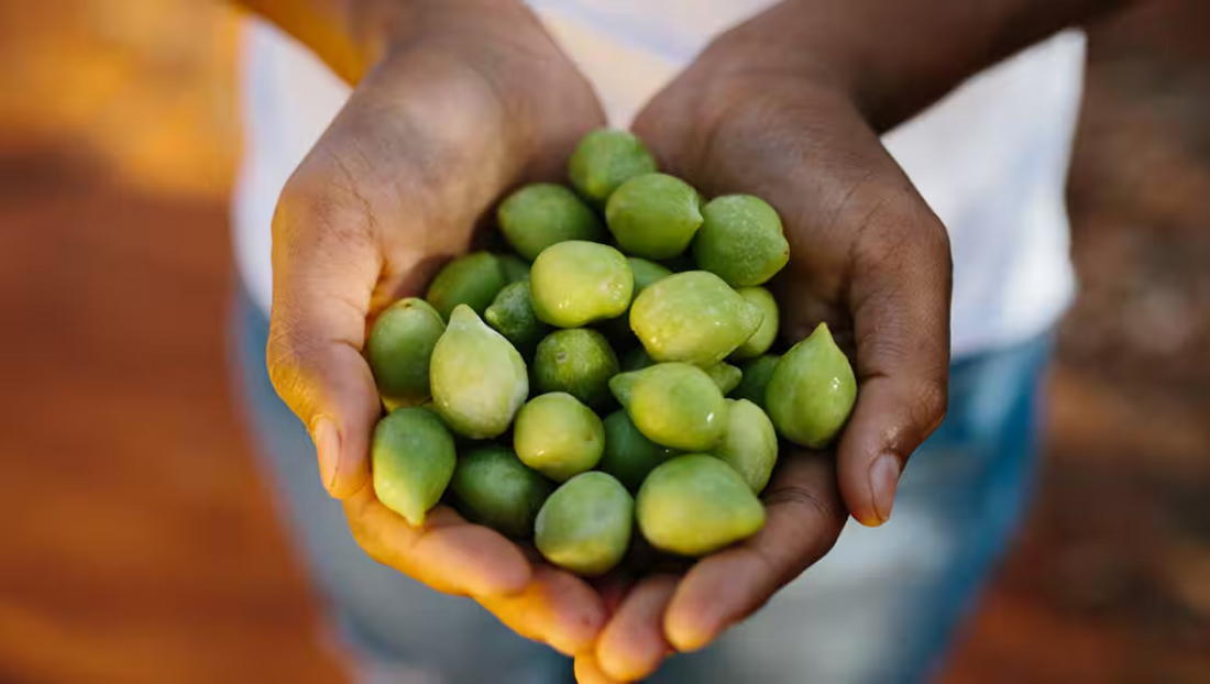 The Power of Kakadu Plum for Skin Repair